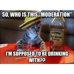 Cinco de mayo is almost over. Drink WITH Moderation.   #cute
