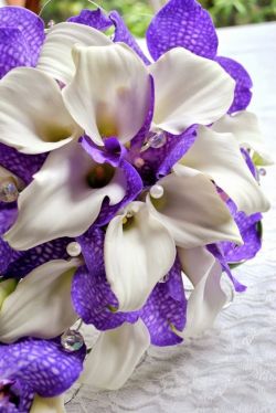 flowersgardenlove:  Calla lily and purpl Beautiful gorgeous amazing