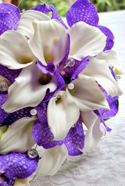 flowersgardenlove:  Calla lily and purpl Beautiful gorgeous amazing 