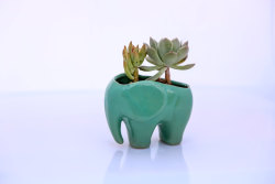 sosuperawesome:  Planters by claylicious on Etsy• So Super