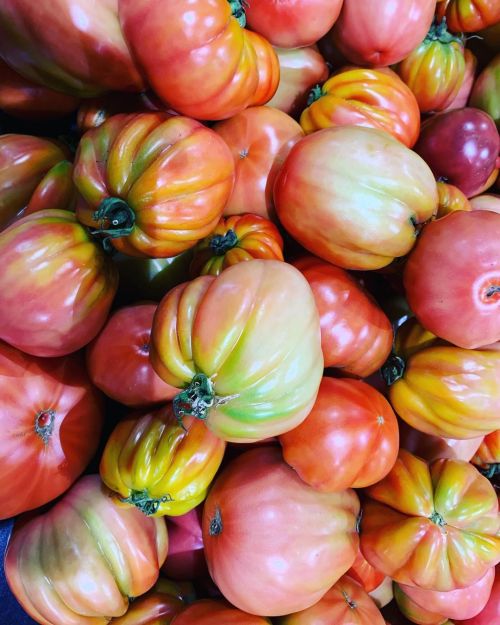 Heirloom tomatoes 🍅 #heirloomtomatoes  (at Whole Foods Market)