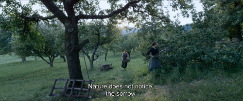 sacredwhores: Terrence Malick - A Hidden Life (2019)