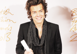 nananarry:  Harry Styles attends the British Fashion Awards 2013