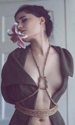 Art of Shibari
