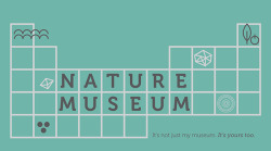 betype:  Visual Autobiography - Nature Museum by Emily Feng