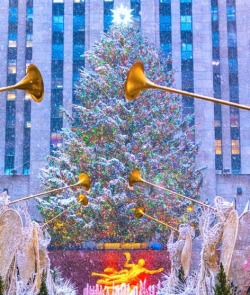 newyorkcityfeelings:Rockefeller Center XMAS Tree by @isardasorensen