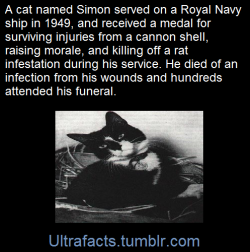 ultrafacts:    (Fact Source) for more facts, follow Ultrafacts