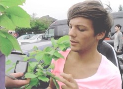 littlekittenlouis:  Louis in pink is so pretty 🍡🎀  💕💕