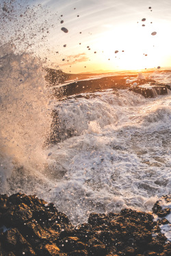 wavemotions:  Wild Tasmania Fuji X Pro-1