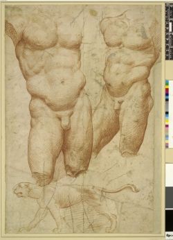 boysnmenart:Two studies of a nude male torso, three-quarter length,