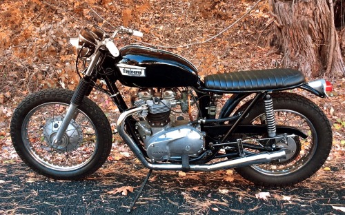 caferacerpasion:  Triumph TR6 Brat Style | www.caferacerpasion.com