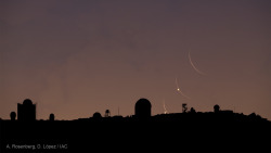 fyeahastropics:  Full Venus and Crescent Moon Rise(via APOD;