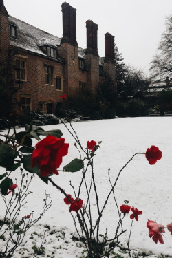 bloomsburys: snowfall at pembroke college, cambridge