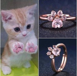 herepet:Source: instagram.com, catsmylove.co 😻💍 Cat Paw