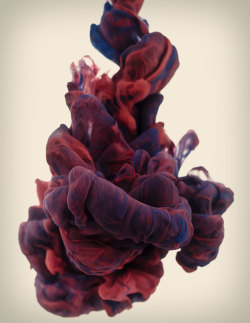 thereunionforever:  watershedplus:  High-speed photographs of ink mixing with water by Alberto Seveso Via  Wow that’s so wild 