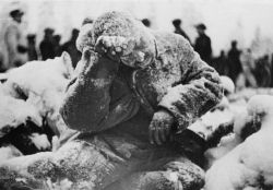 sixpenceee:  This Russian soldier froze to death minutes after