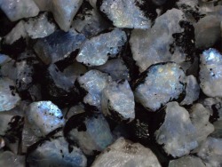 third-eyes:  lapidarist:  rough moonstone chips at libra gems