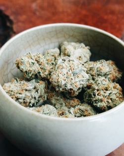 thedreamhaze:  💚 how high? 🌴