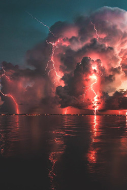 lsleofskye:Fort Myers, Florida | hoovisyo