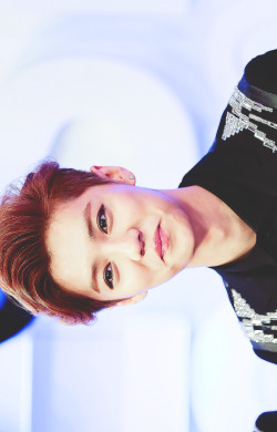 lullabyun:  the cutest deer in the world ♥ 