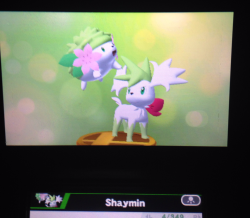 kiyotakamine:  why is sky forme shaymin on the ground but land