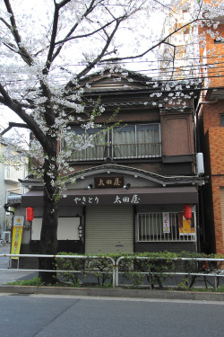 saqqoro:  IMG_6691  