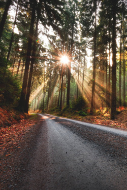 wnderlst:  Saxon Switzerland National Park, Germany | Andrzej