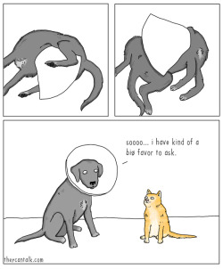 theycantalk:  Cone Problems