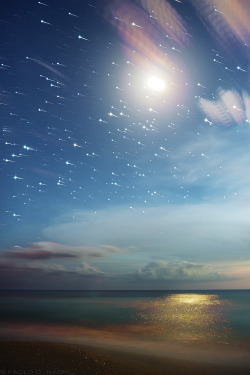 capturedphotos:  The Moon and Stars 28 images combined, each