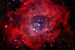 zubat:  The Rosette Nebula is a large, circular H II region located