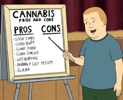 weedporndaily:  Colorado Will Spend บ Million Researching Marijuana’s