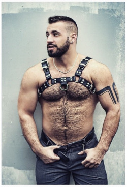 Nipples and harness