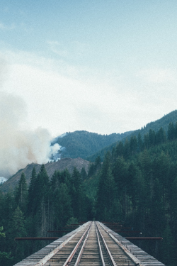 lvndscpe:  The Vance Creek Bridge | by Jacki Potorke