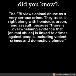 did-you-kno:The FBI views animal abuse as a  very serious crime.