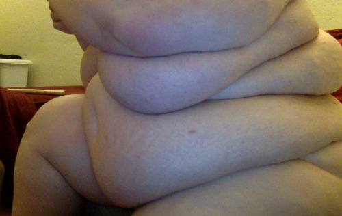 californiafeedee:  Side shots at 616. You can really see the scope of my size here, my hugeness. I am gigantic. I am a ball of lard, a true whale 