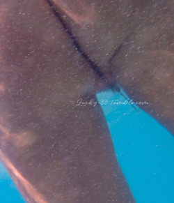 Jan 2018BahamasAnother underwater shot of her dangling jewelry.