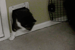 gravity always wins.