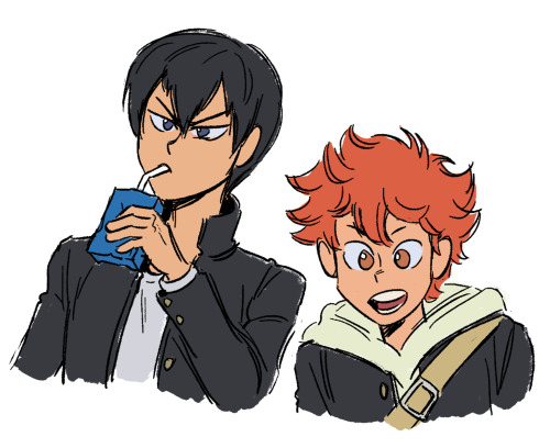 paunchsalazar:started watching Haikyuu with my roommates