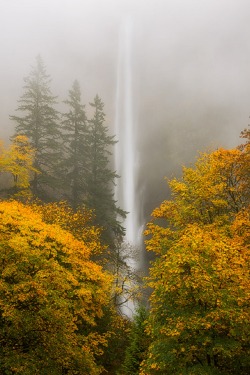 sublim-ature:  Multnomah Falls, OregonScott Smorra 