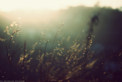 oix:  untitled by dj murdok photos on Flickr.