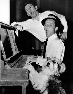 David Wayne, Frank Sinatra and their four-legged The Tender Trap