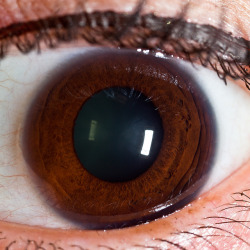 An Eye by Stephen Begin on Flickr.An Eye