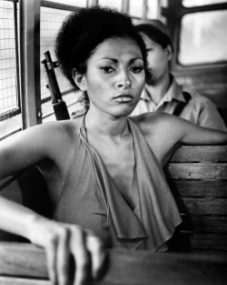 papa-mint:  ✨ Pam Grier ✨