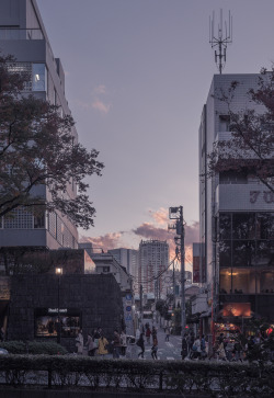 janvranovsky:  Sunset in Omotesando, Tokyo 