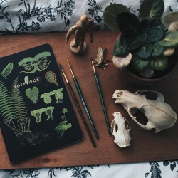 thcfaerie