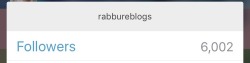 rabbureblogs:  Another milestone! Thanks for following everyone!