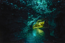 nubbsgalore:  the waitomo limestone caves on new zealand’s