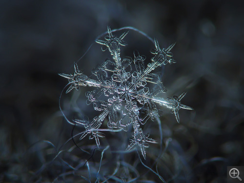 tsukasafan:  xkyoux:  Holy shit. This is a real snow. Amazing. PS. This is a message from the UFO. I know this.  © Alexey Kljatov  the last one… omg… 