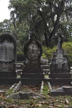 retoyman:  retoyman in respect at the Bonaventure Cemetery, near