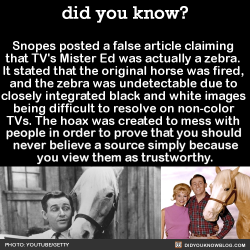 did-you-kno:  Snopes posted a false article claiming that TV’s